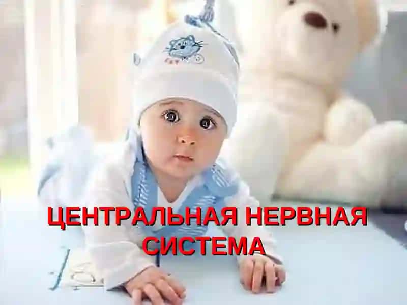 Анатомо-физиологические особенности детского организма 2