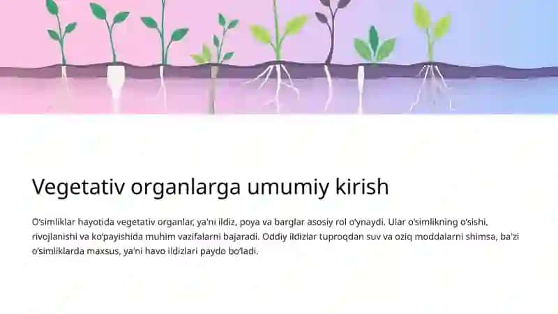 Vegetativ organlar: Havo ildizlari, Tuzilishi va Ahamiyati 2