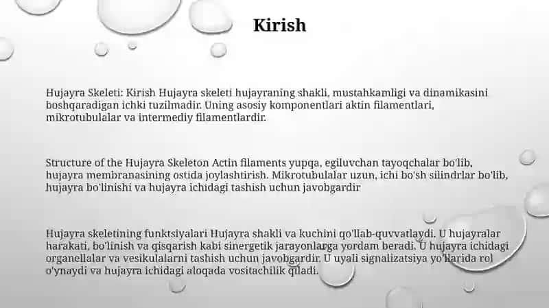 Hujayra Setoskeletining Strukturaviy Va Funksional Tashkil Etilishi 2