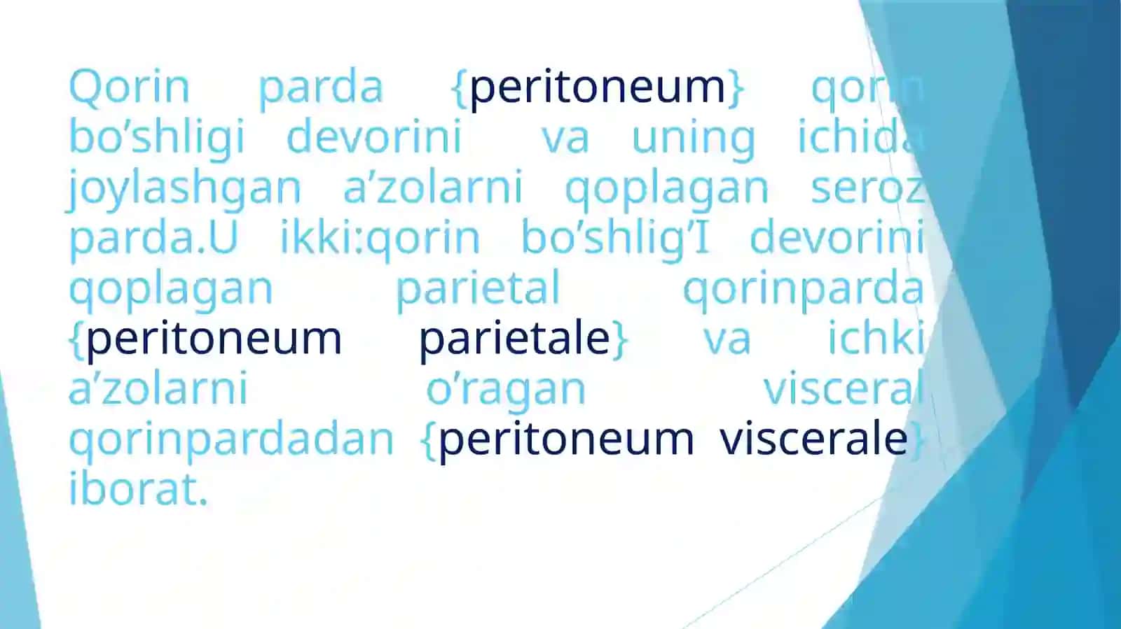 Qorinpardaning tuzilishi va uning qorin bo‘shlig‘i a’zolariga munosabati 2