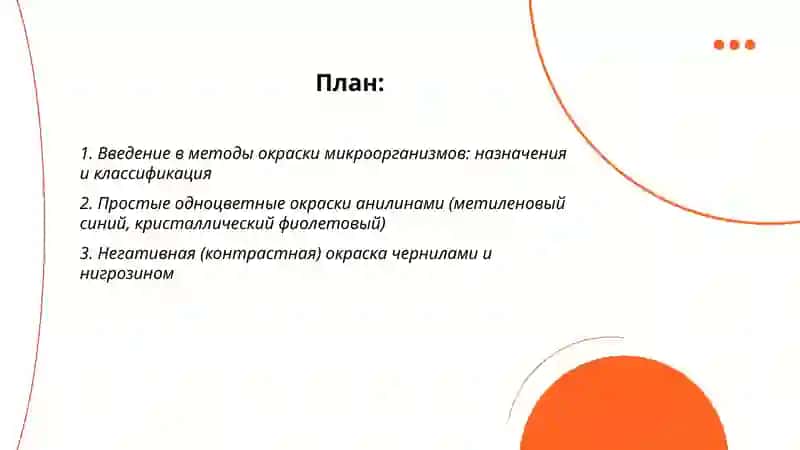 Методы окраски микроорганизмов: от простых к сложным 2