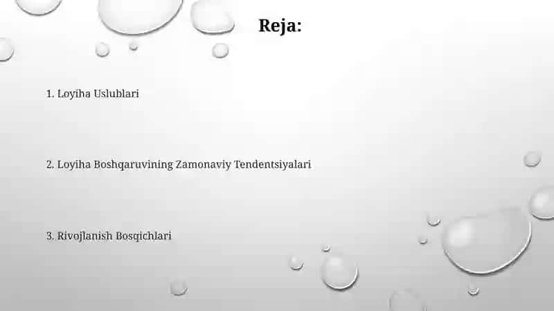 Loyha metodi va ularni ishlab chiqish darajalari 2