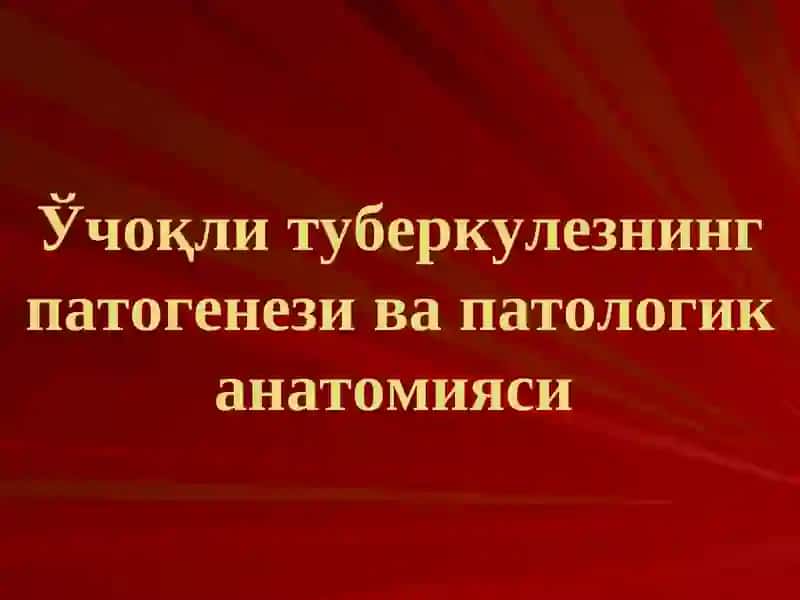 Ўчоқли, яллиғланган туберкулези ва ўпка туберкулемаси 2
