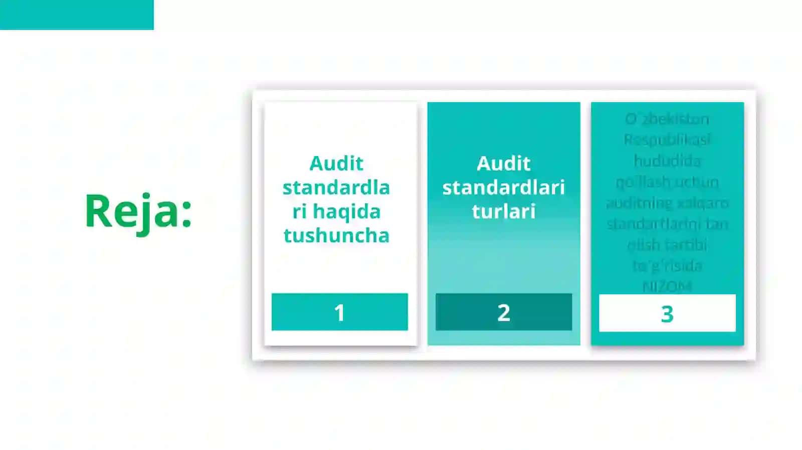 Audit standardlari 2