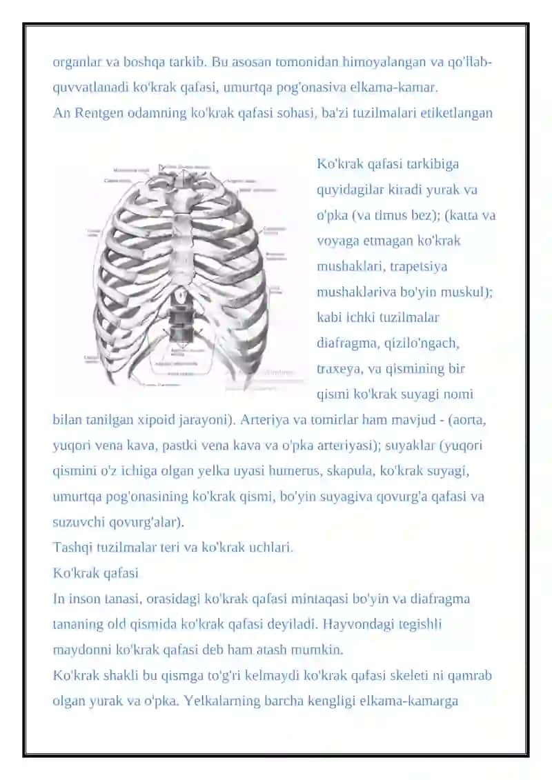 KO'KRAK QAFAS RENGENOGRAFIYASINI TAXLILI 2