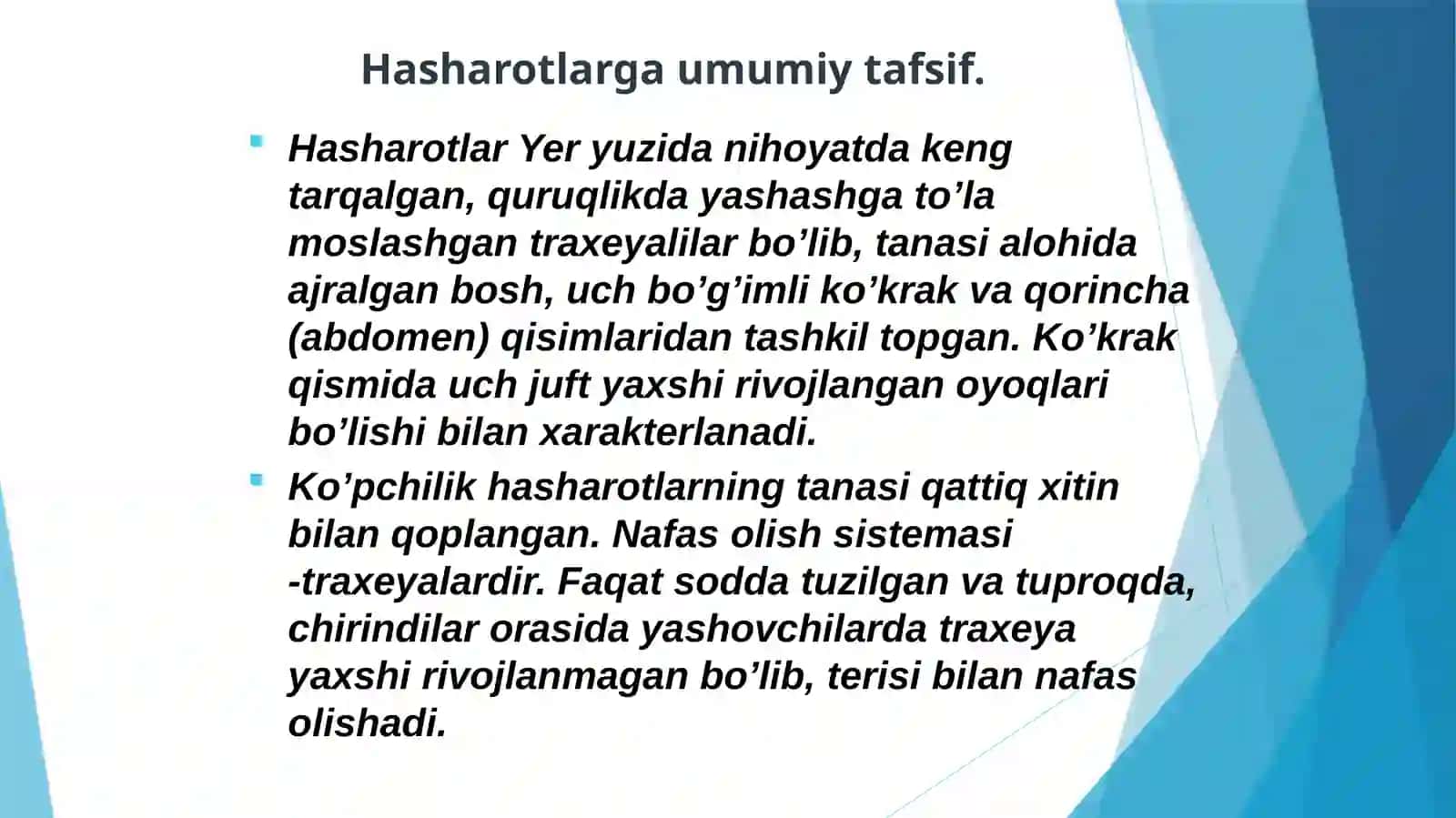 Hasharotlarning umumiy tuzilishi, tashqi morfologiyasi 2