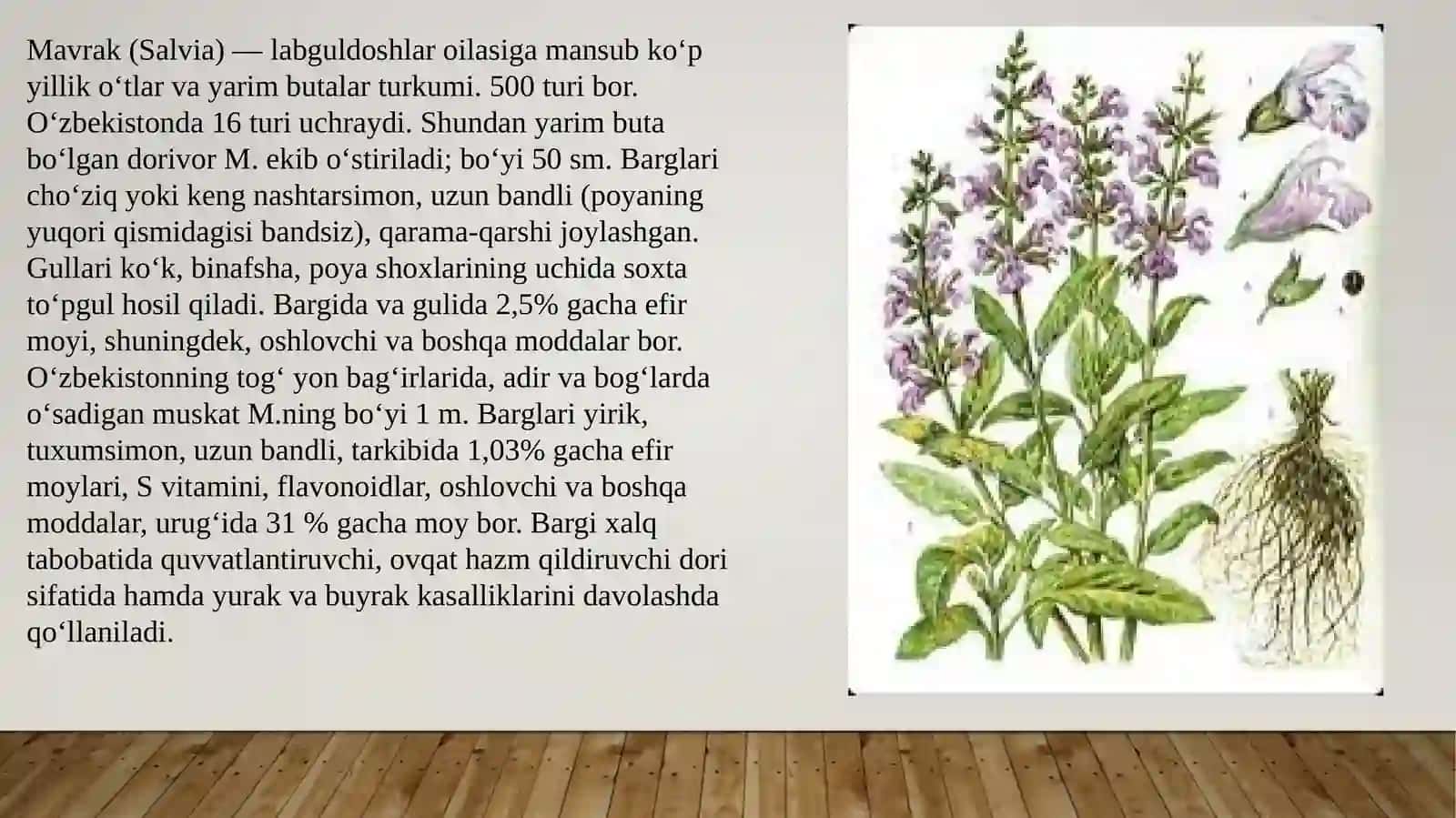 Mavrak o’simligi zararkunandalari va kasalliklari aniqlash haqda kurash choralarini o’rganish 2