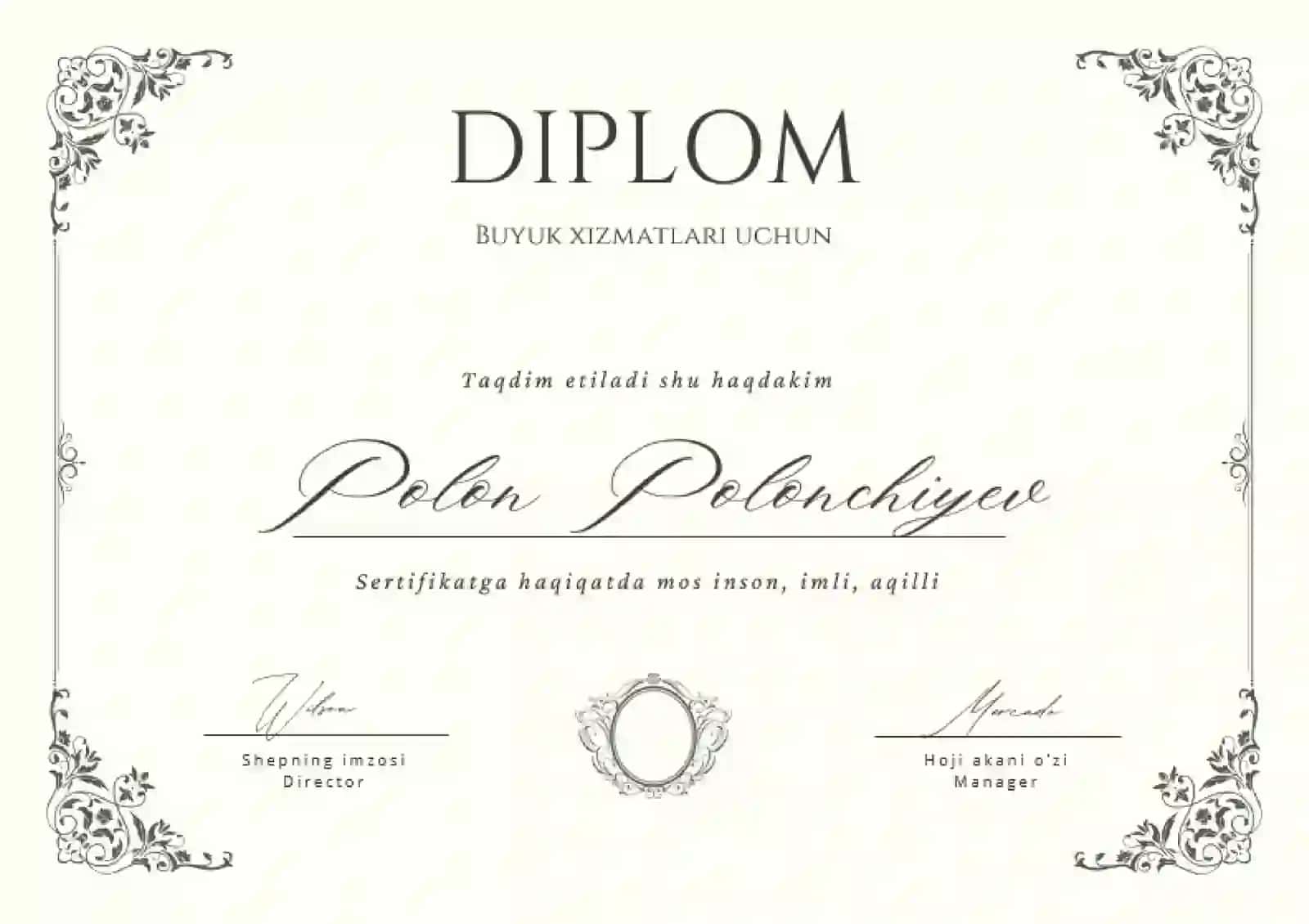 DIPLOM 2
