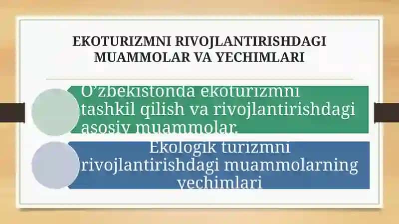 EKOTURIZMNI RIVOJLANTIRISHDAGI MUAMMOLAR VA YECHIMLARI 2