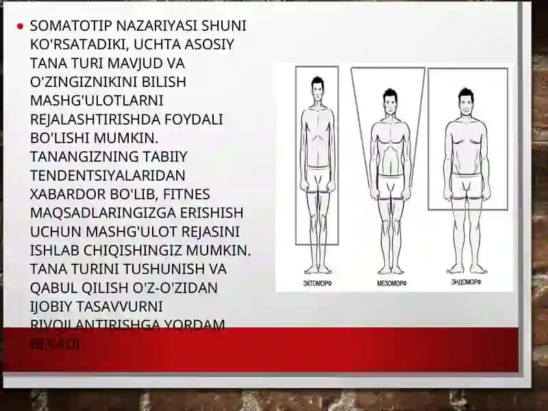 SOMATOTIP TURLARI (ERTA SPORT SARALASHIDA TANA TUZILISHINING AHAMIYATI) 2