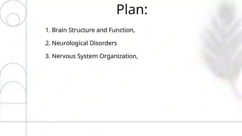 Brain and nervous system 2