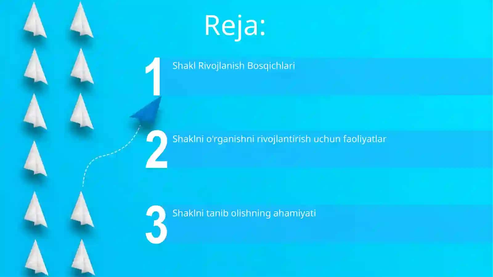 Shakl Rivojlanish Bosqichlari 2