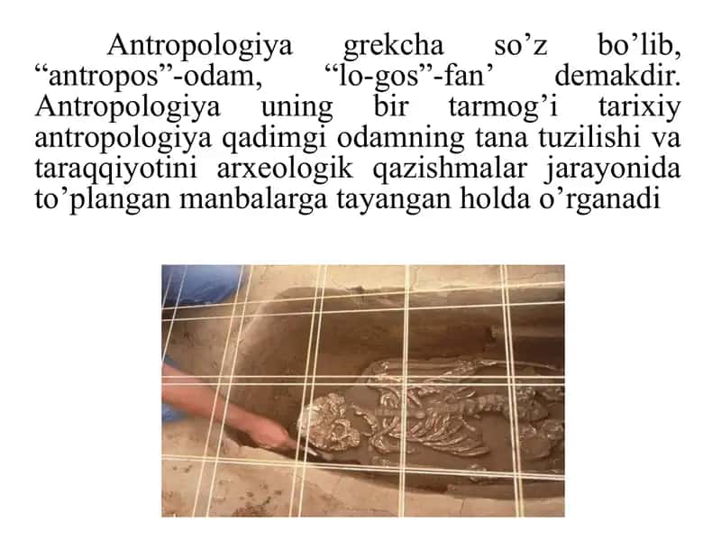 Qadimgi Markaziy Osiyo insoniyat sivilizatsiyasi 2