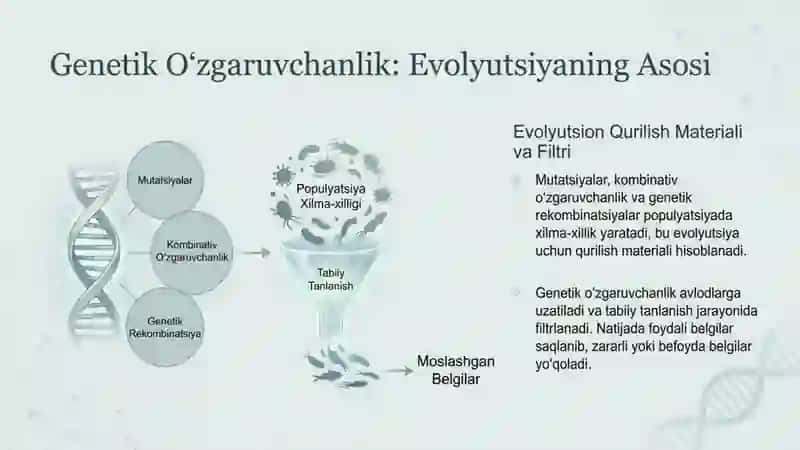Tanlanish va Inson Evolyutsiyasi 2