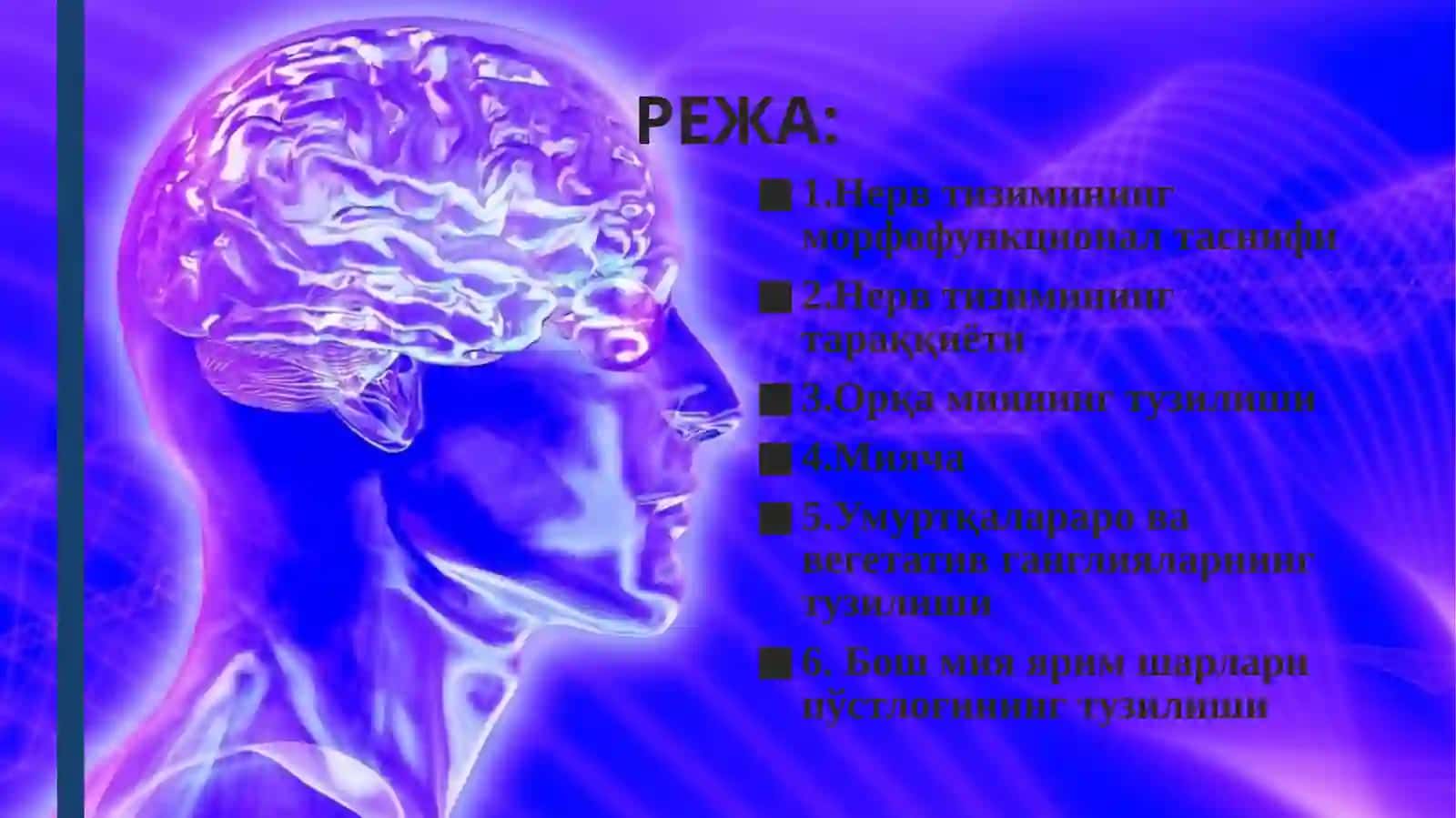 НЕРВ СИСТЕМАСИНИНГ ГИСТОЛОГИК ТУЗИЛИШИ 2