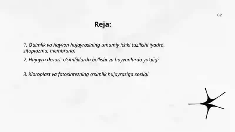 Oʻsimlik va hayvon hujayrasi óxshashligi va farqi 2