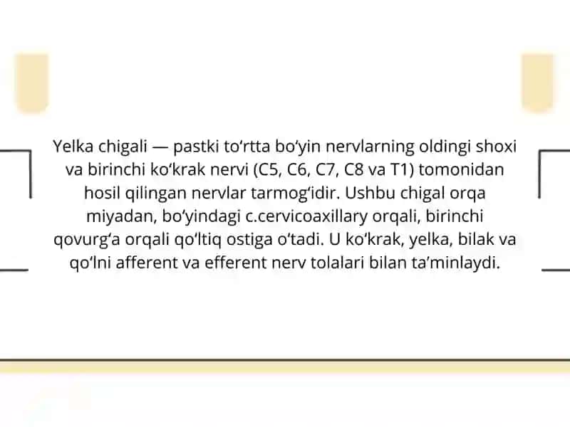 Yelka chigali 2