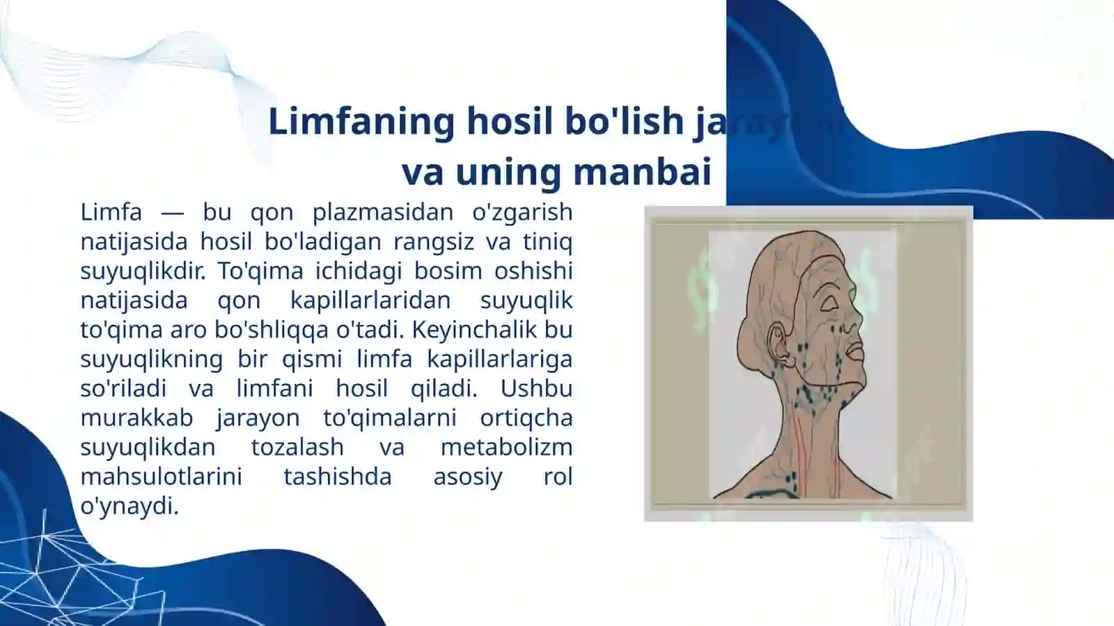 Limfa tizimi: Inson organizmidagi hayotiy muhim suyuqlik,. Anatomiya fanidan presentation 2