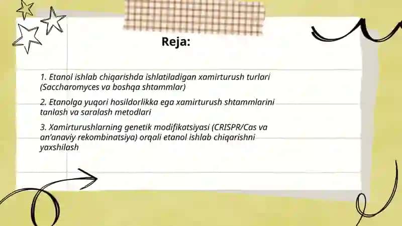 Etanol ishlab chiqarish uchun xamirturush biotexnologiyasi 2