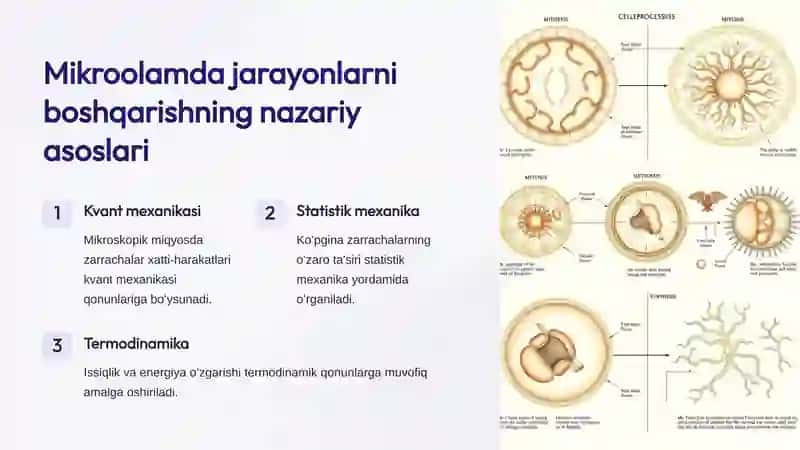 Mikroolam va makroolam yondashuvlarini taqqoslash 2