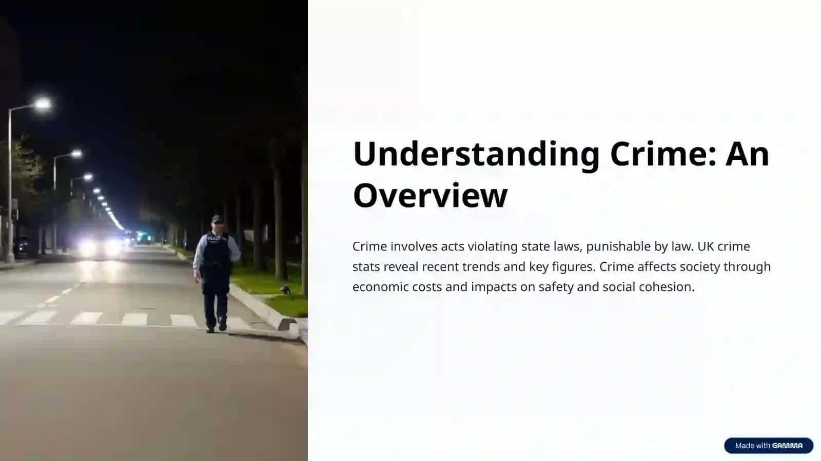 Understanding Crime: An Overview 2
