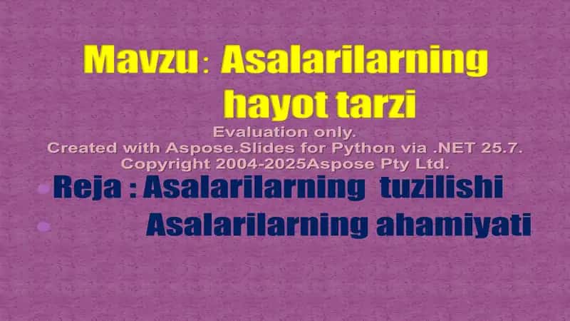 Namangan viloyati Pop tumani 63-o‘rta talim maktabi o‘qituvchisi Djalilova Dildoraning asalarilar hayot tarzi haqida tayyorlagan taqdimoti 2