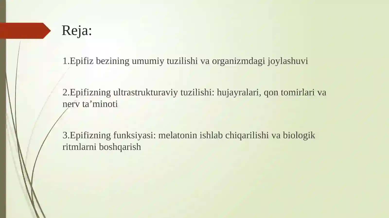 Epifizning ultratuzilishi va funksiyasi 2