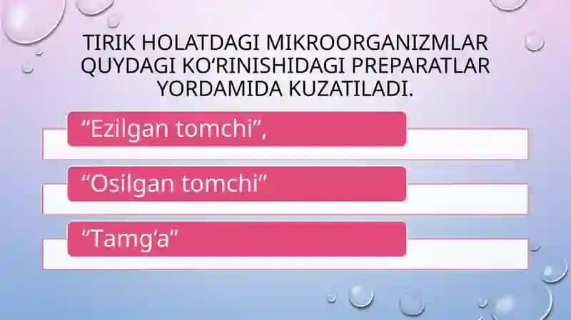 Mikroorganizmlardan preparat tayyorlash va bo'yash usullari 2