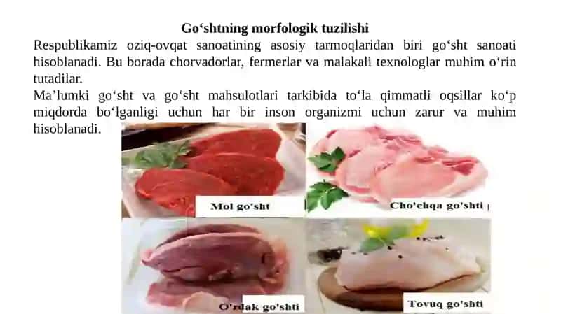 Go‘SHTNING MORFOLOGIK TUZILISHI 2