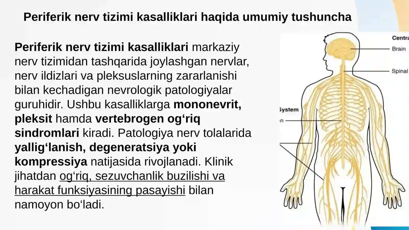 Perifeik nerv tizimi kasalliklari: Mononevrit, pleksit, vertebrogen og'riq sindromlar etiologiyasi, patogenezi, klinikasi, diagnostika, davolash va profilaktika usullari 2