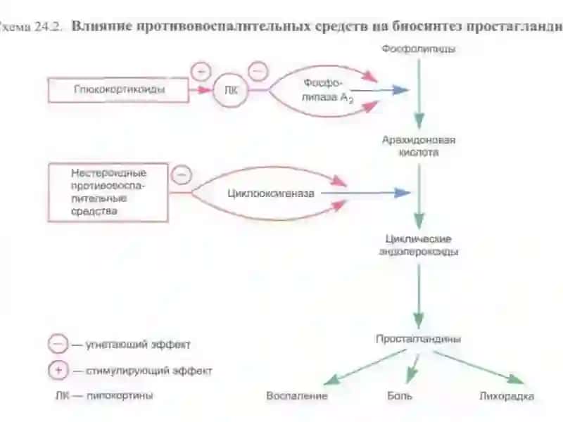 Яллигланишга карши воситалар 2