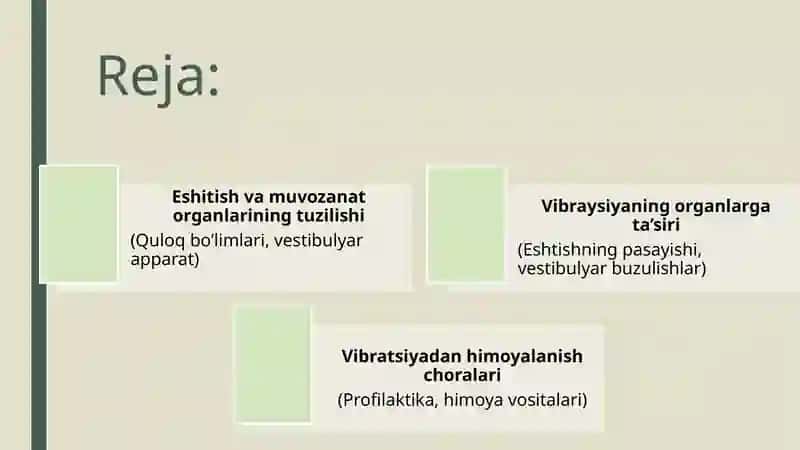 Vibratsiyaning Eshitish va Muvozanat Organlari Tuzilishiga Ta'siri 2