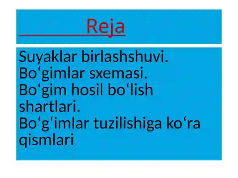 Bo'g'imlarning biomexanikasi birlashmalarning rengenanatomiyasi 2