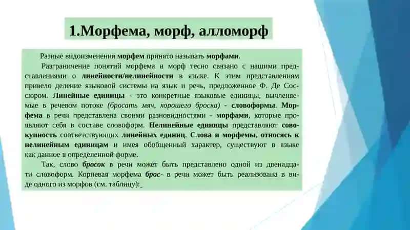 Особенности морфем и их вариантов в организации слова 2