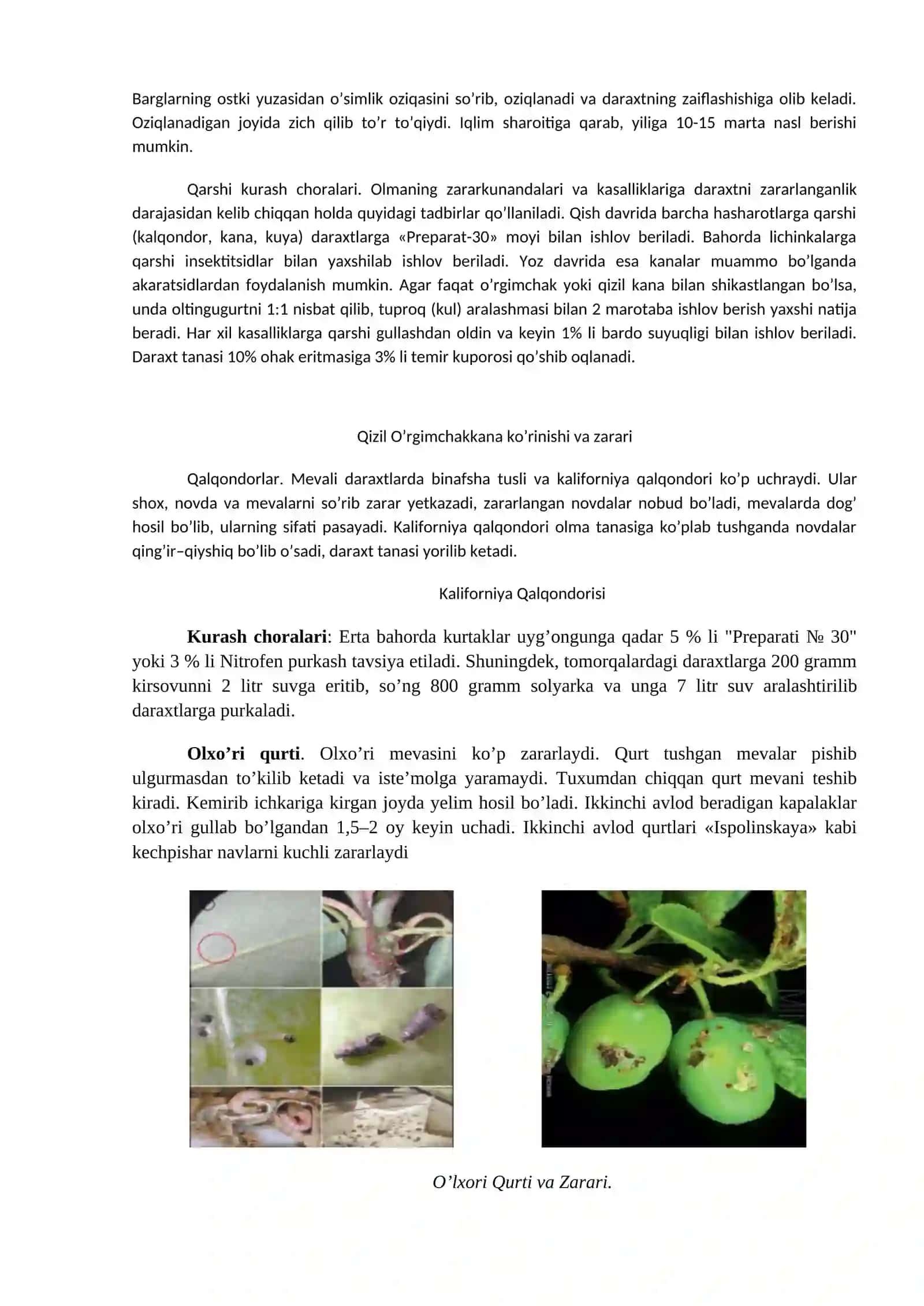 OLXOʼRI ZАRАRKUNАNDА VА KАSАLLIKLАRIGА QАRSHI KURАSH 2