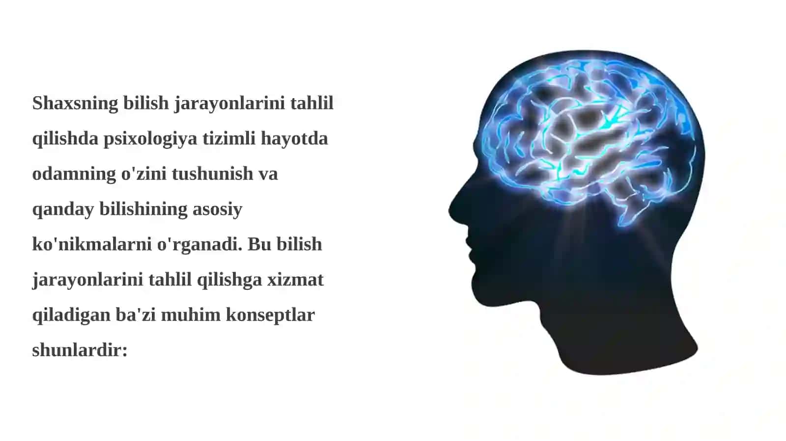 Shaxsning bilish jarayonlar psixologiyasi 2