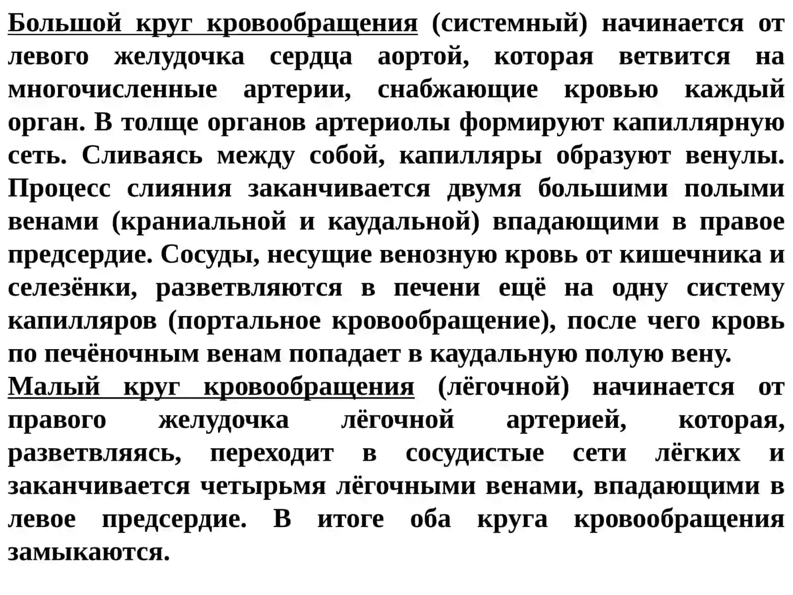 Гемодинамика 2