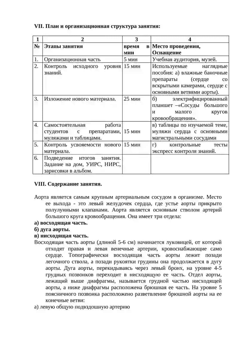 Аорта и ее ветви 2
