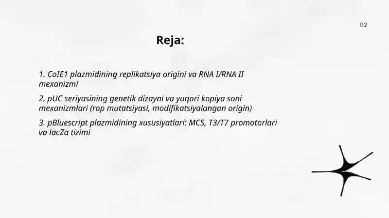 Kopiya soni yuqori plazmidlar (CoIE1, pUC, pBIuescript) va ularning rekombinant DNK texnalogiyasidagi oʻrni 2