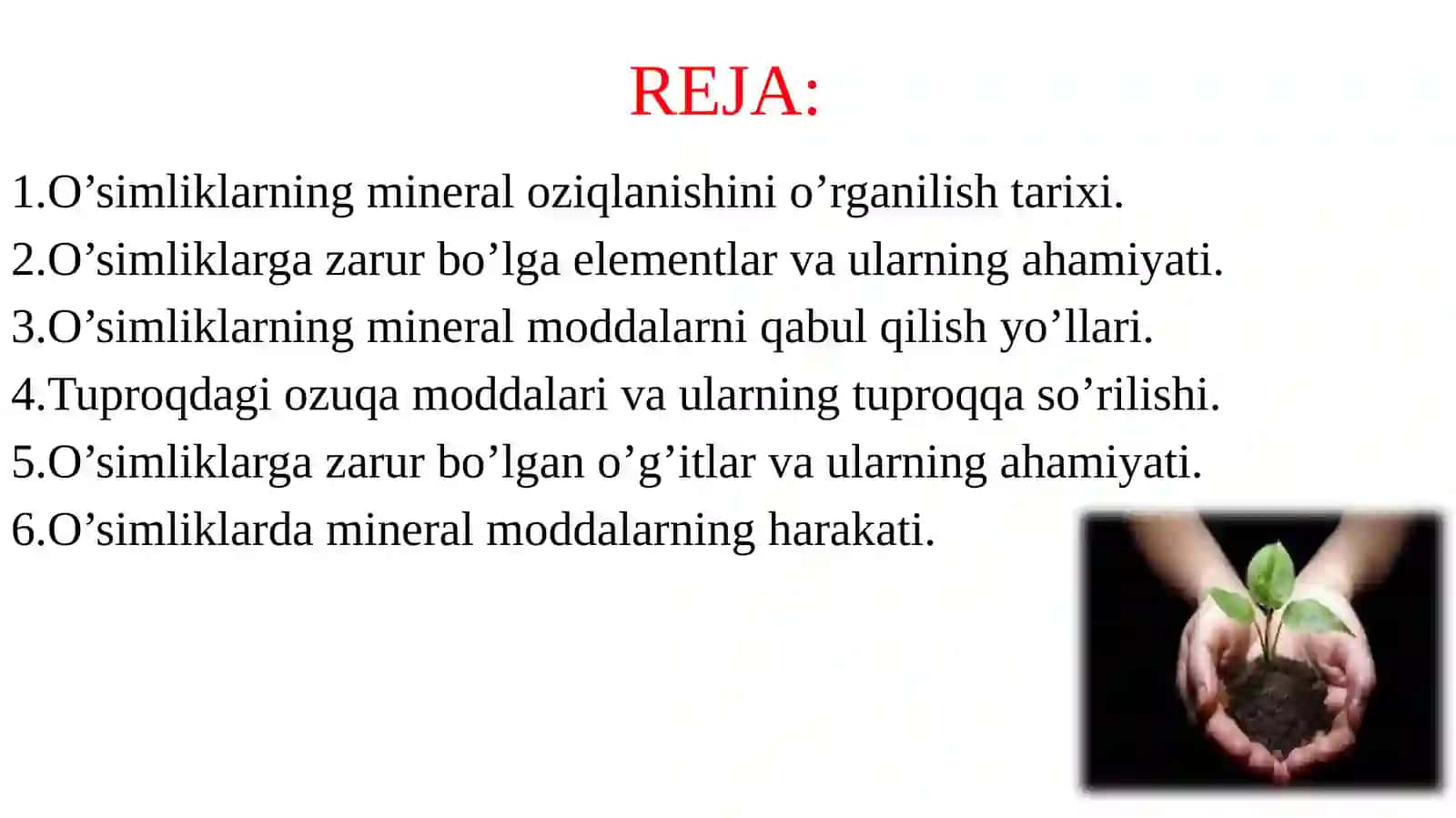 O'SIMLIKLARNING MINERAL OZIQLANISH FIZIOLOGIYASI 2