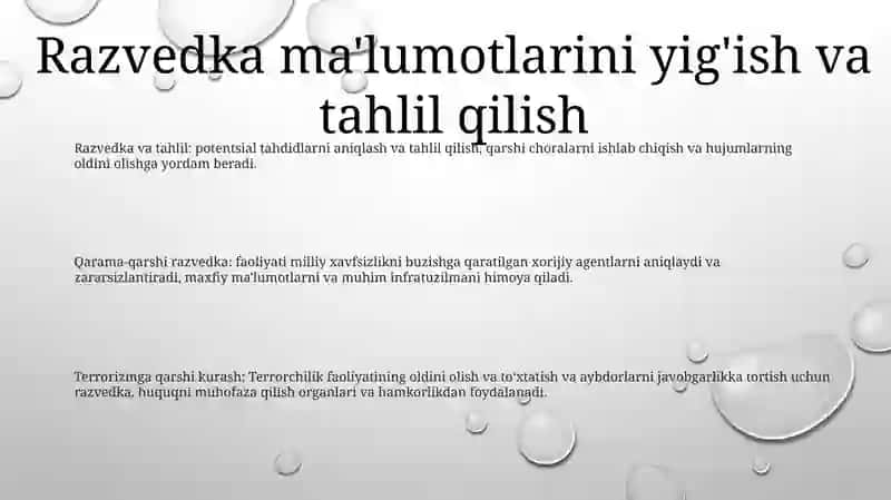 Milliy Xavsizlikni Taminlashda Olib Borilayotgan Ishlar 2