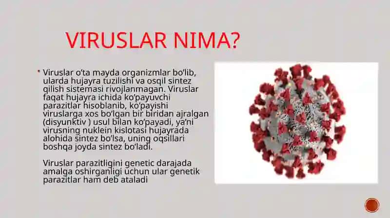 Umumiy virusologiya va bakteriofaglar 2