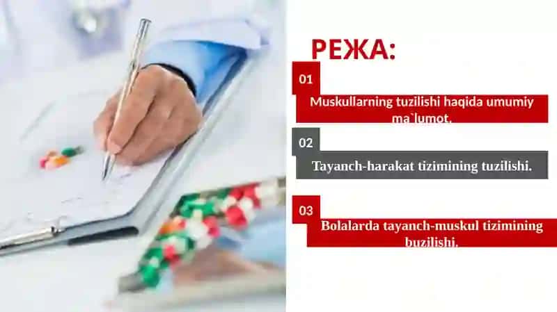 Muskullarning tuzilishi va yoshga bog`liq xususiyatlari 2