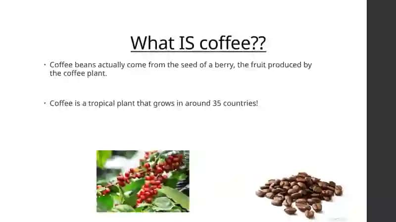 Coffee Culture 2
