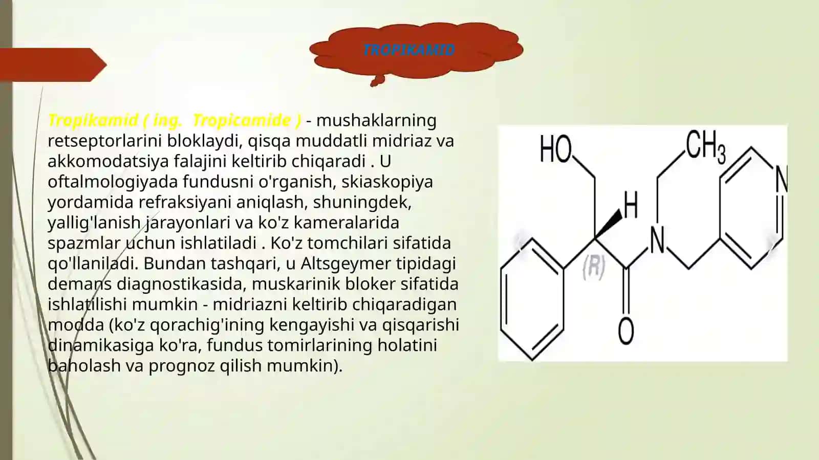 TROPIKAMID 2