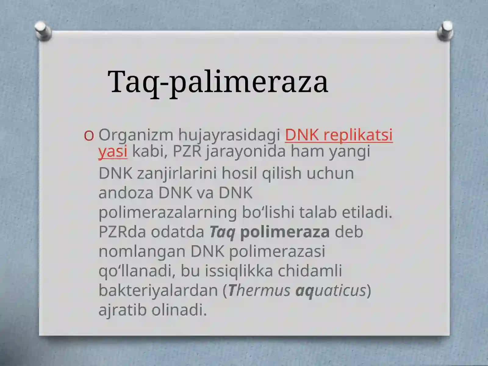 Polimeraza zanjir rekasiasi 2