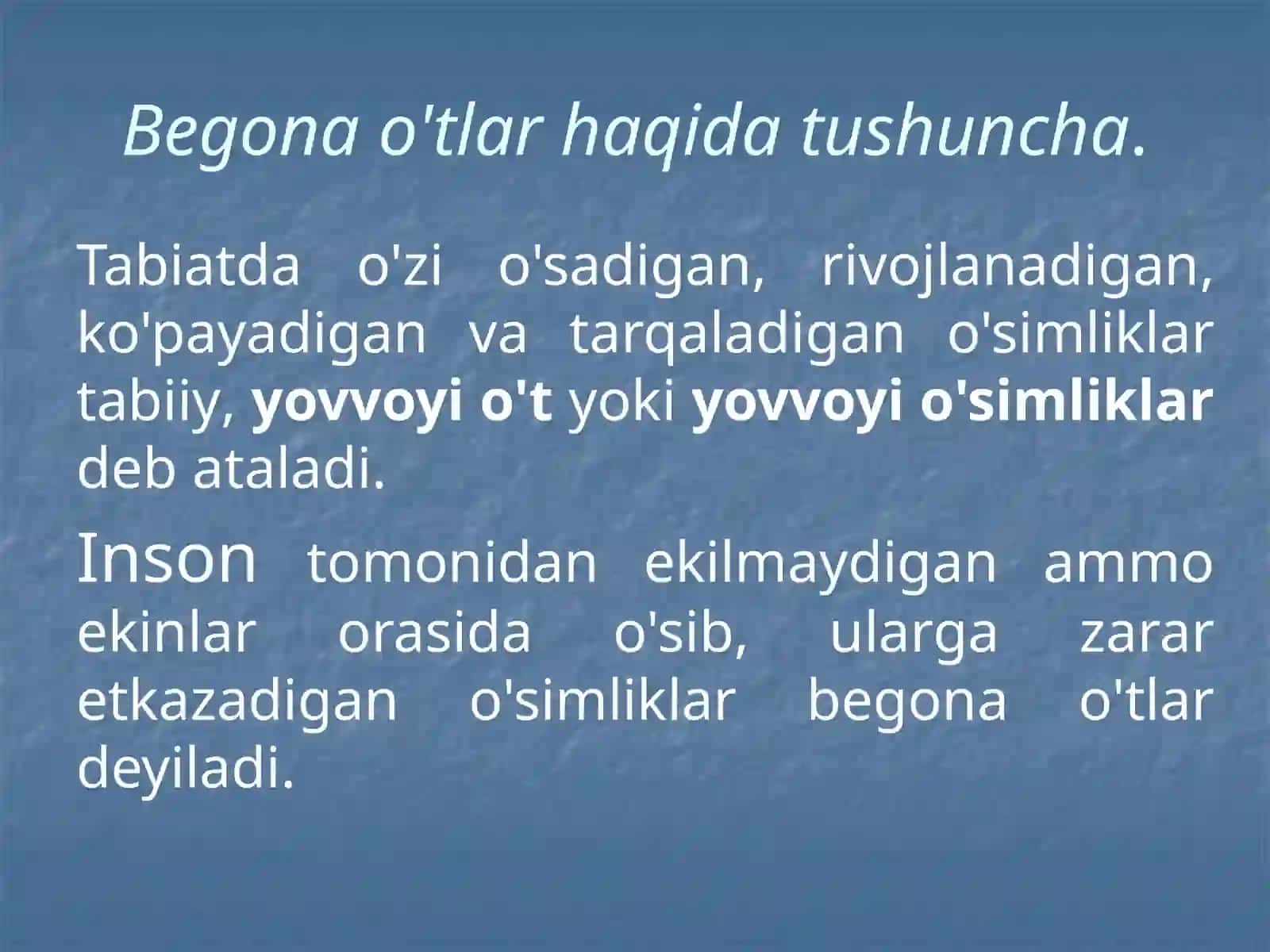 Begonao'tlar, ularning zararli biologik xususiyatlari 2