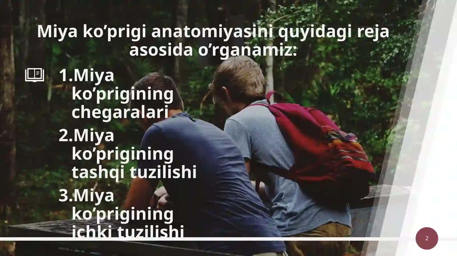 Miyako’prigi(pons)vamiyacha(cerebellum) 2