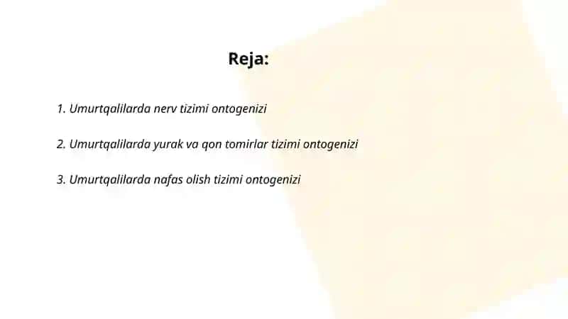 Umurtqalilarda nerv tizimi ontogenizi 2