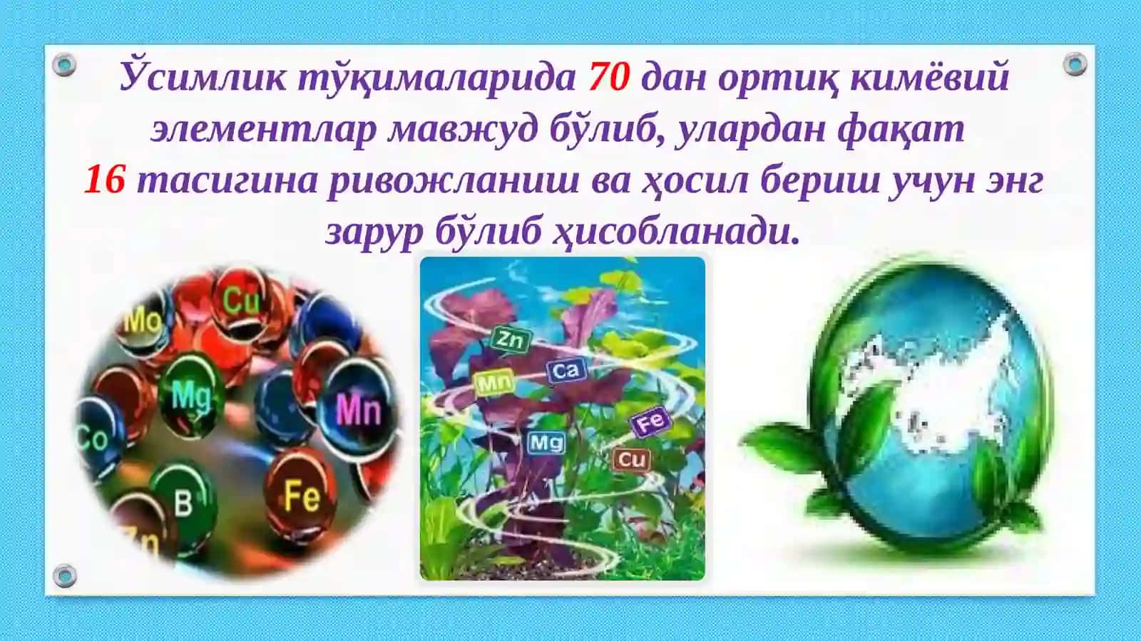 Минерал ўғитлар 2